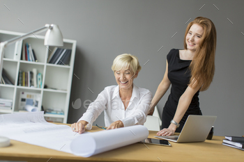 Women working in the office