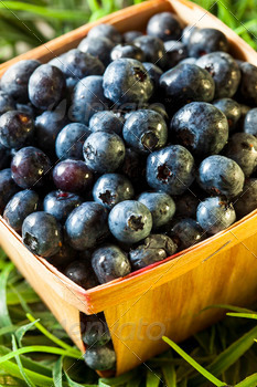 Group of Organic Blueberries