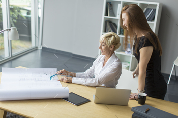Women working in the office stock photo NULLED